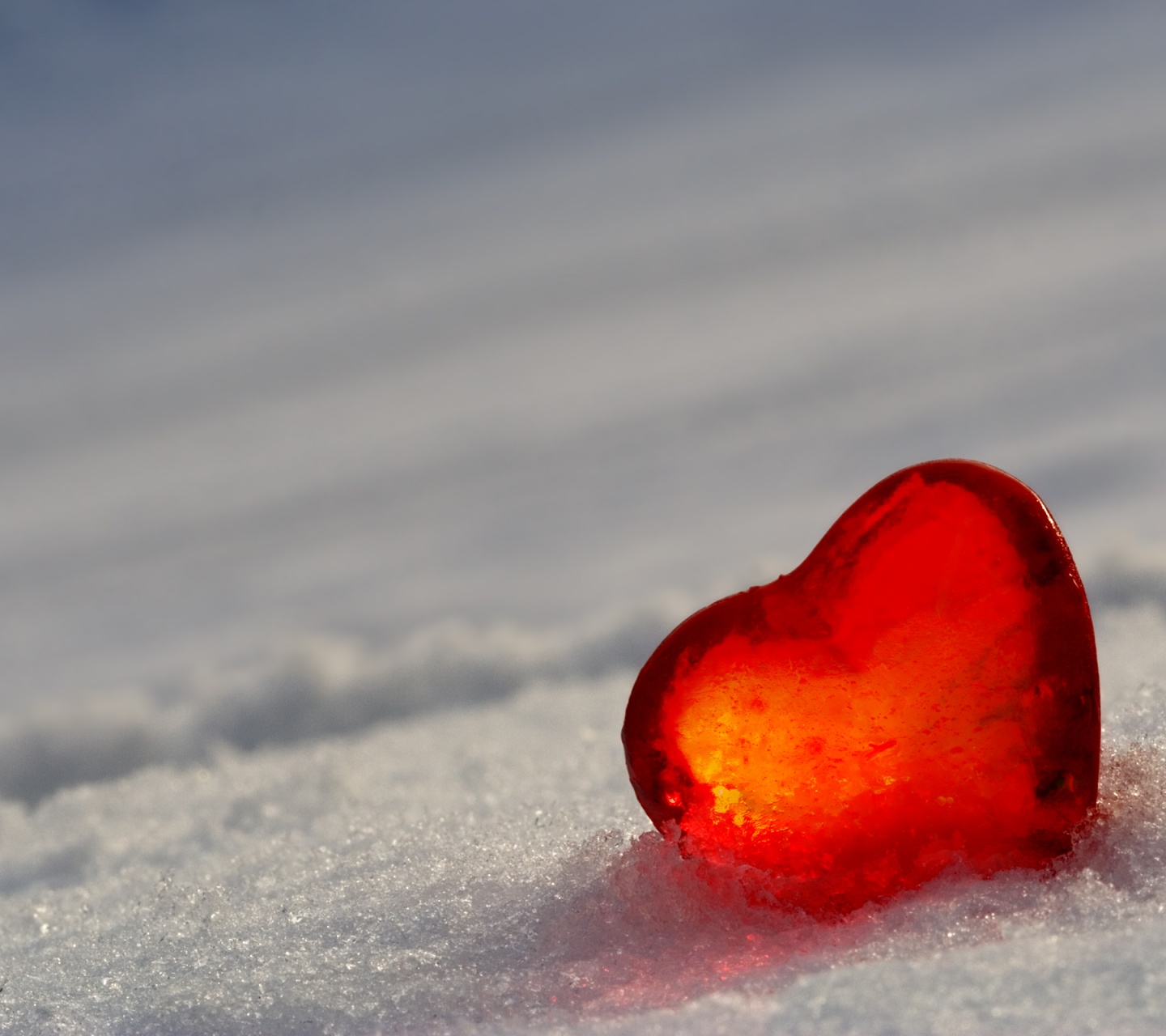 Lover Heart In The Ice