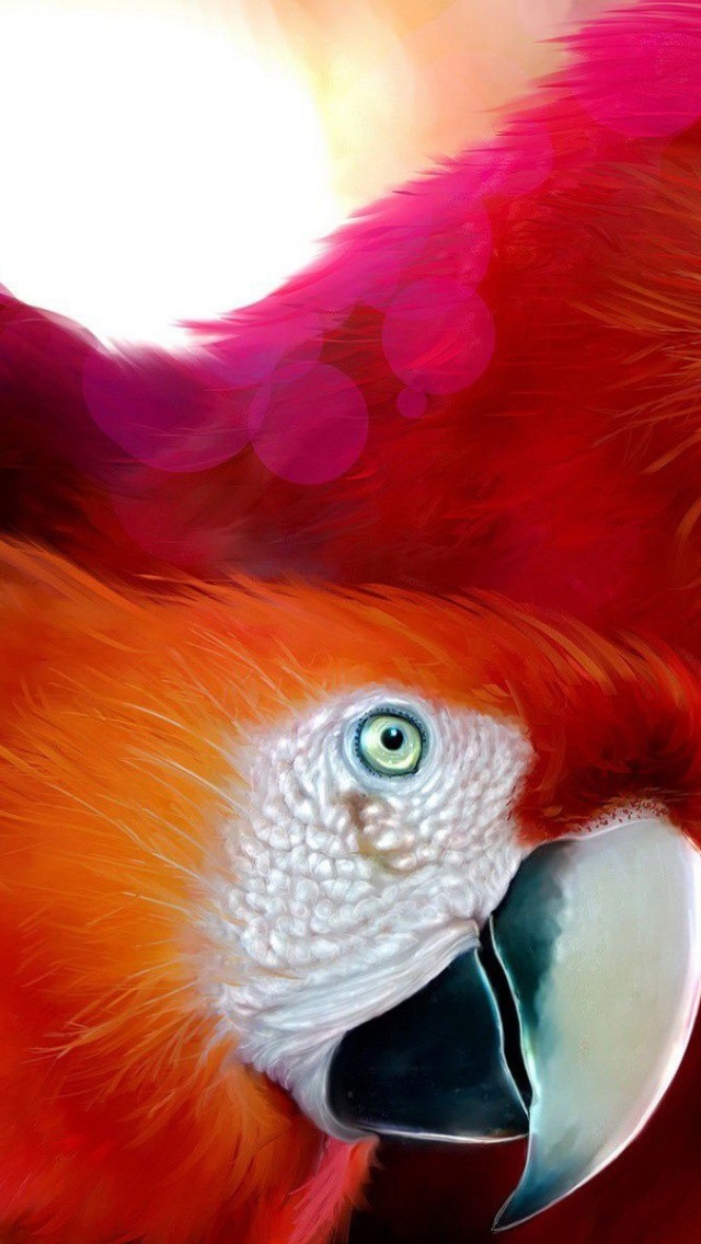 Macaw Parrot Bird