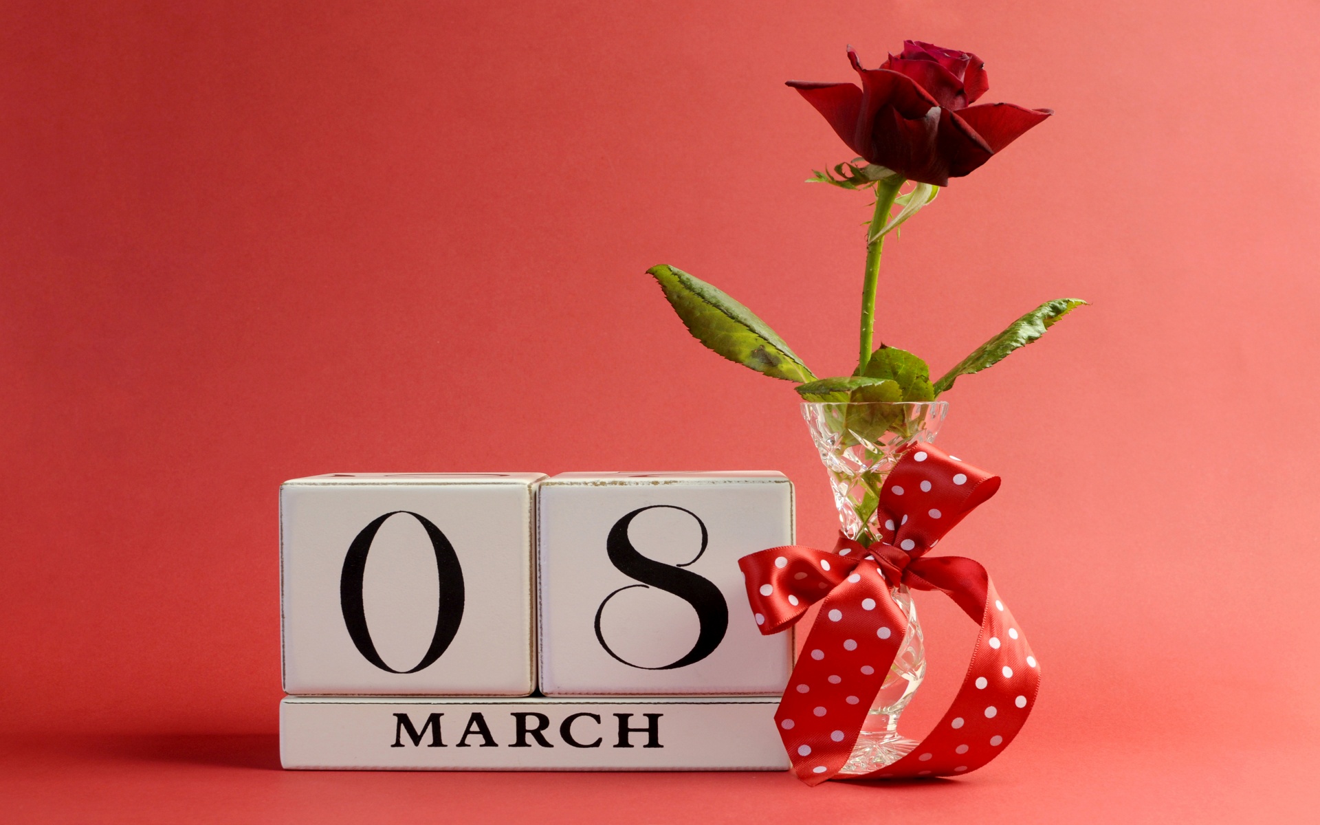 March 8 Roses Holidays