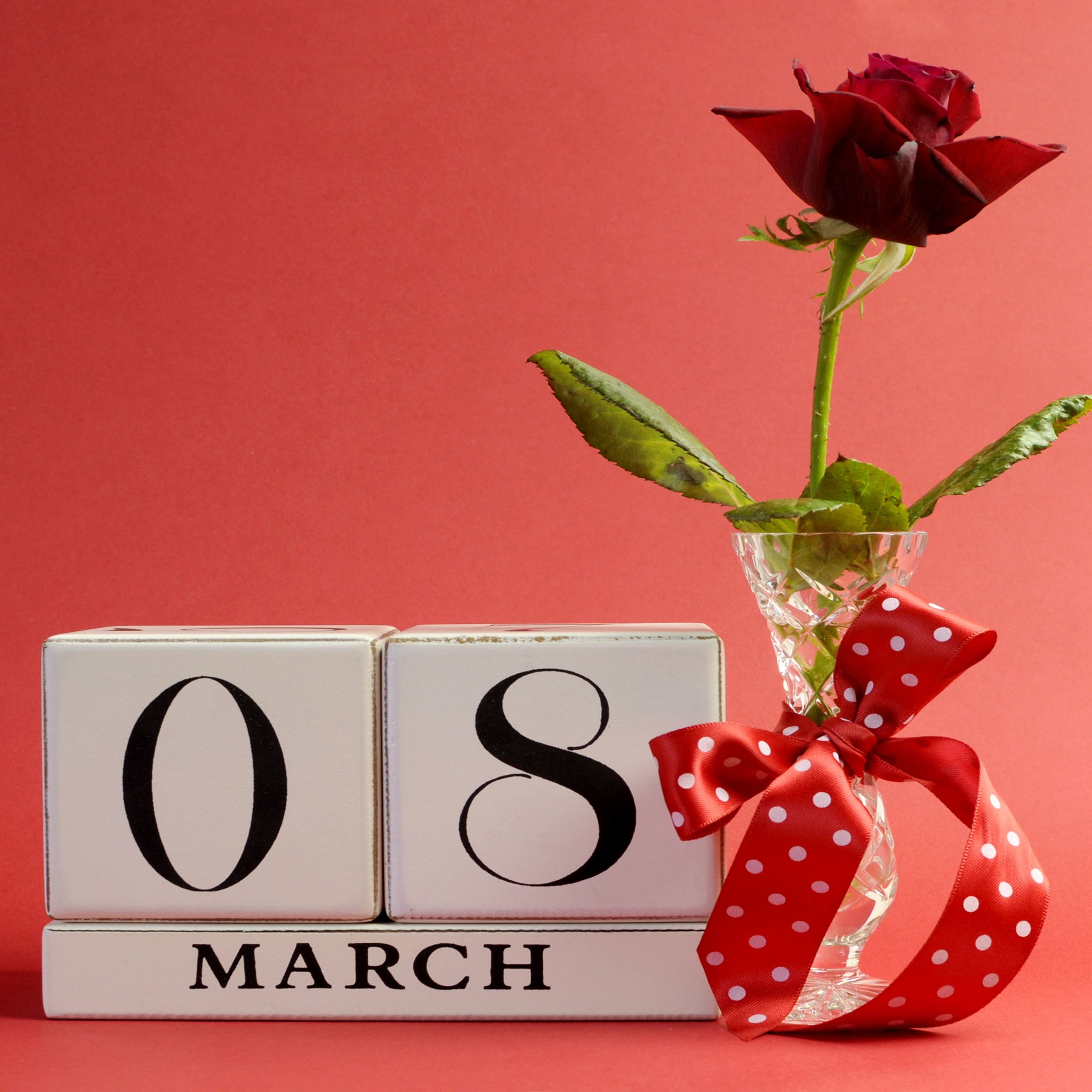 March 8 Roses Holidays