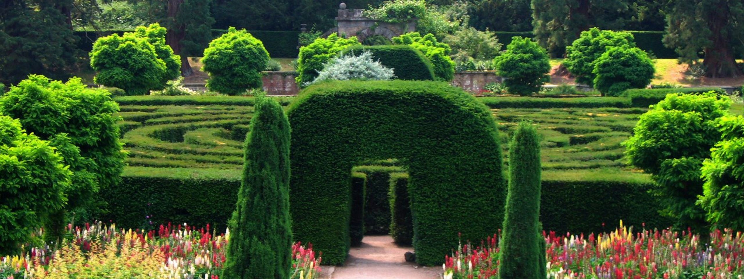 Maze At Chatsworth