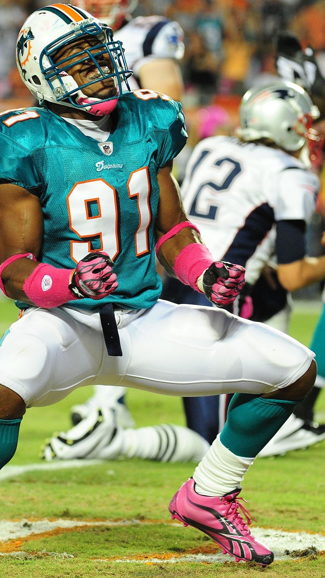 Miami Dolphins American Football Cameron Wake