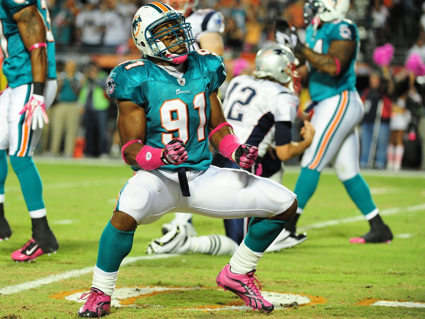 Miami Dolphins American Football Cameron Wake