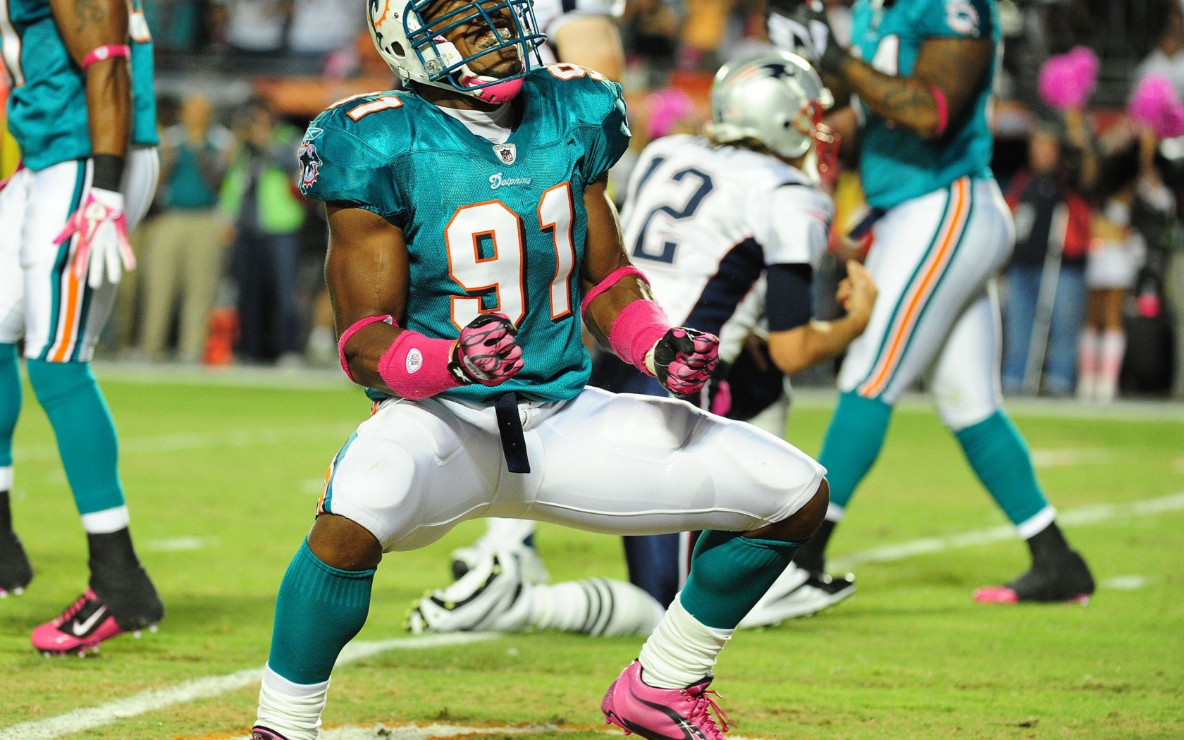 Miami Dolphins American Football Cameron Wake