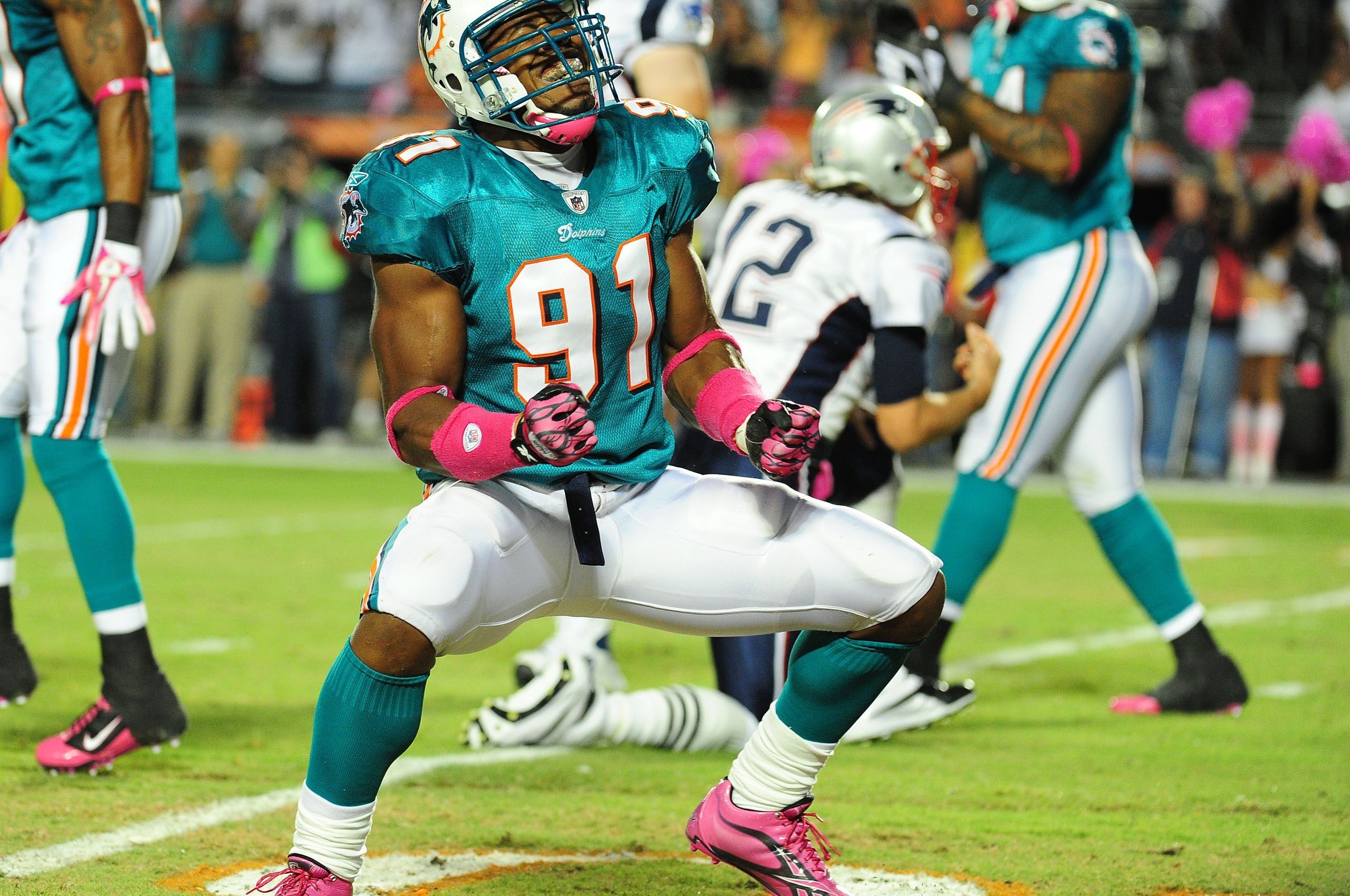 Miami Dolphins American Football Cameron Wake