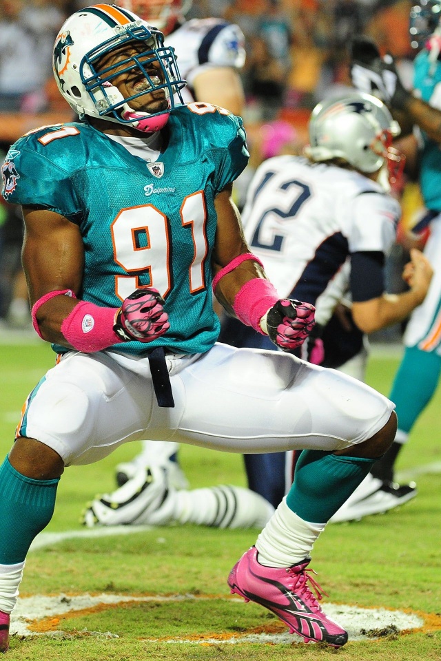 Miami Dolphins American Football Cameron Wake