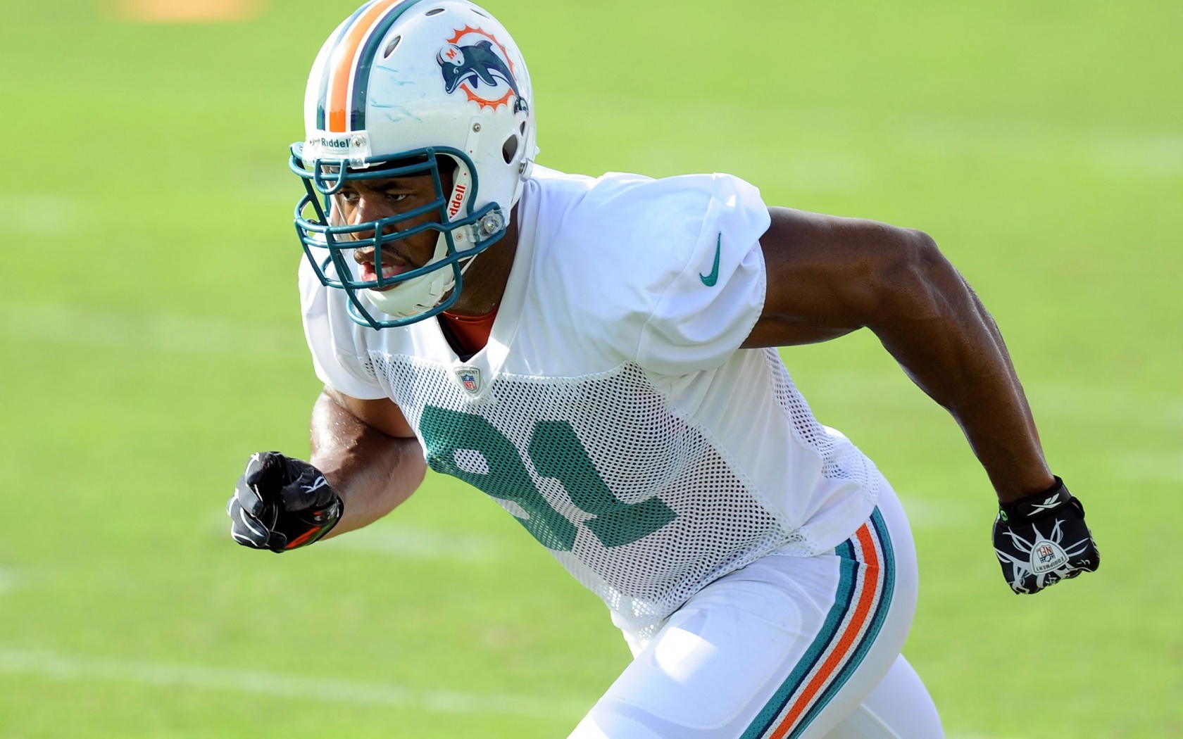 Miami Dolphins American Football Linebacker Cameron Wake