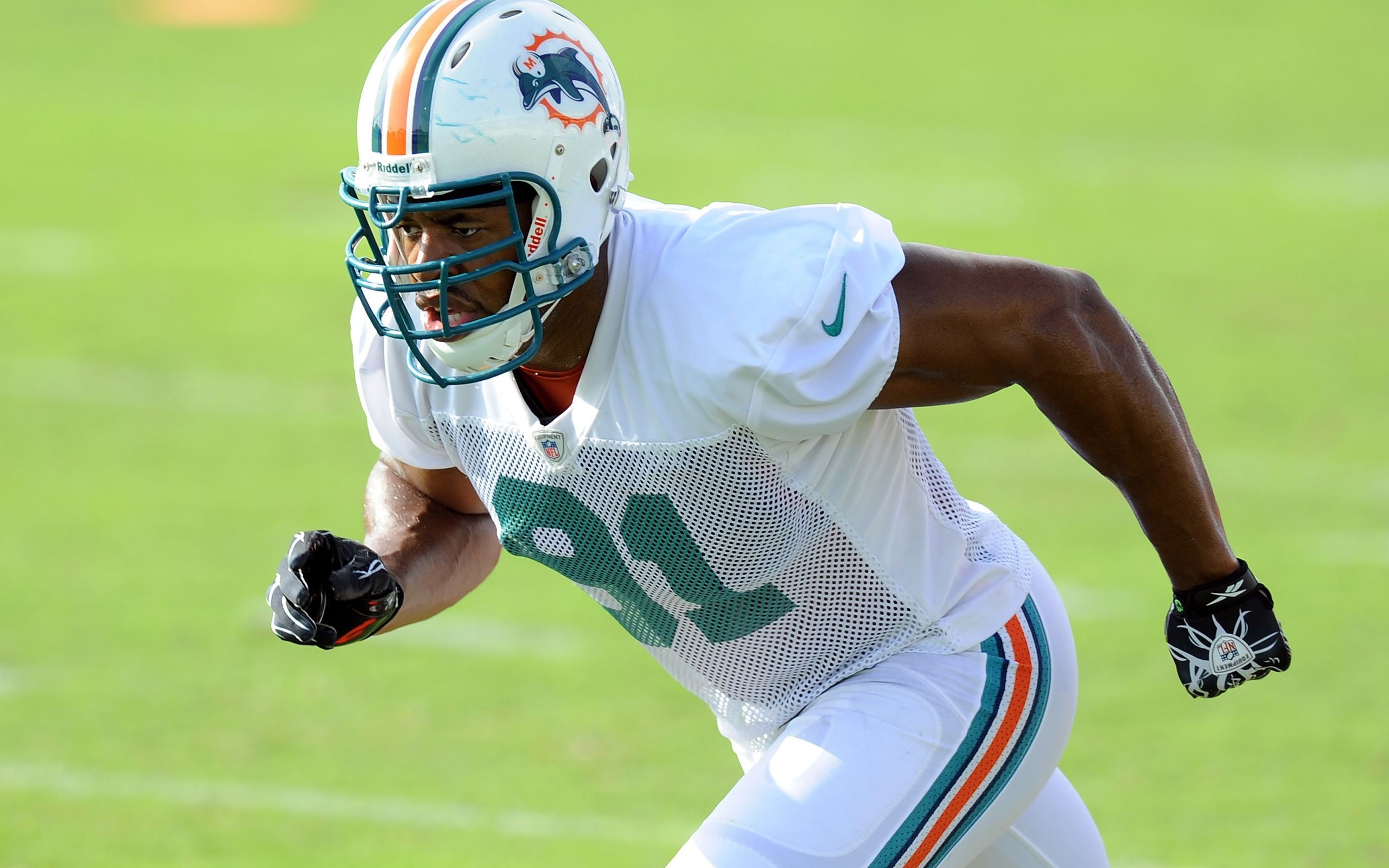 Miami Dolphins American Football Linebacker Cameron Wake