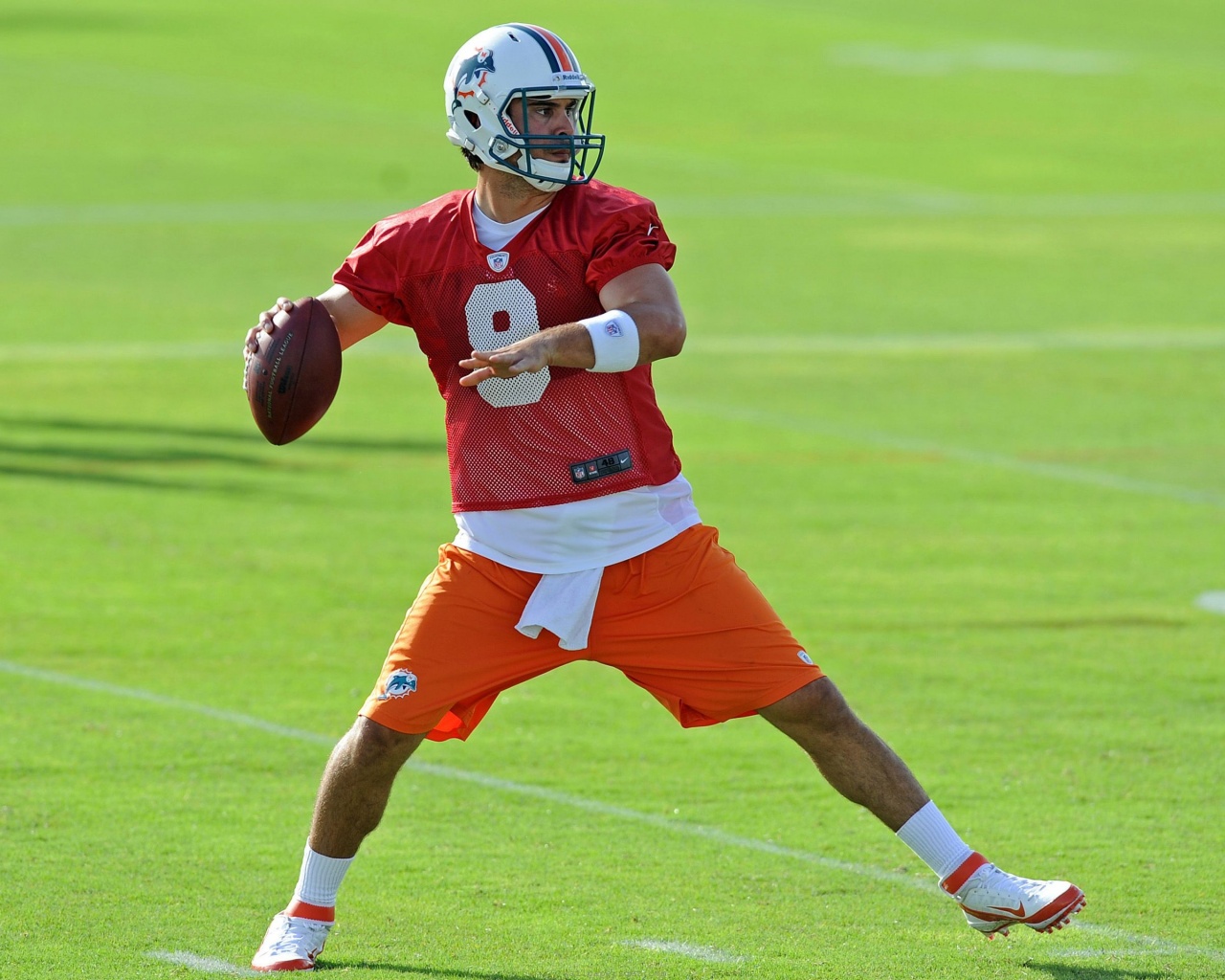 Miami Dolphins American Football Quarterback Matt Moore