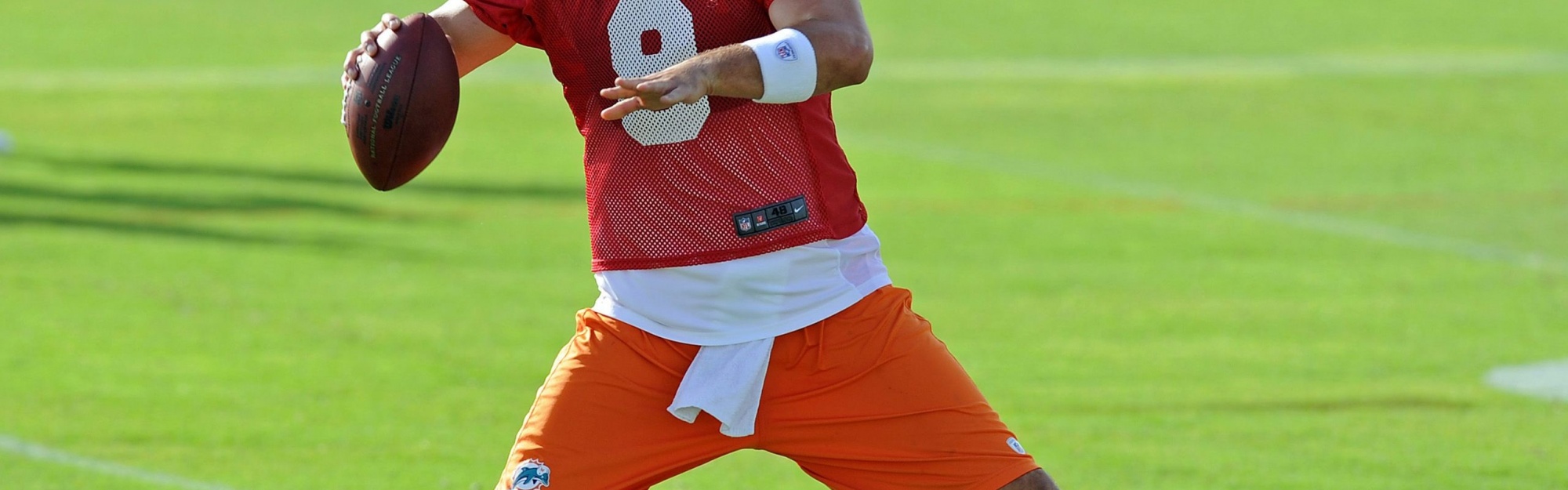 Miami Dolphins American Football Quarterback Matt Moore