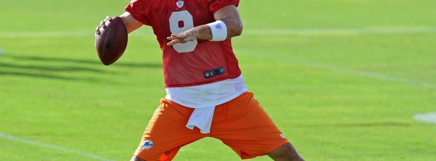 Miami Dolphins American Football Quarterback Matt Moore