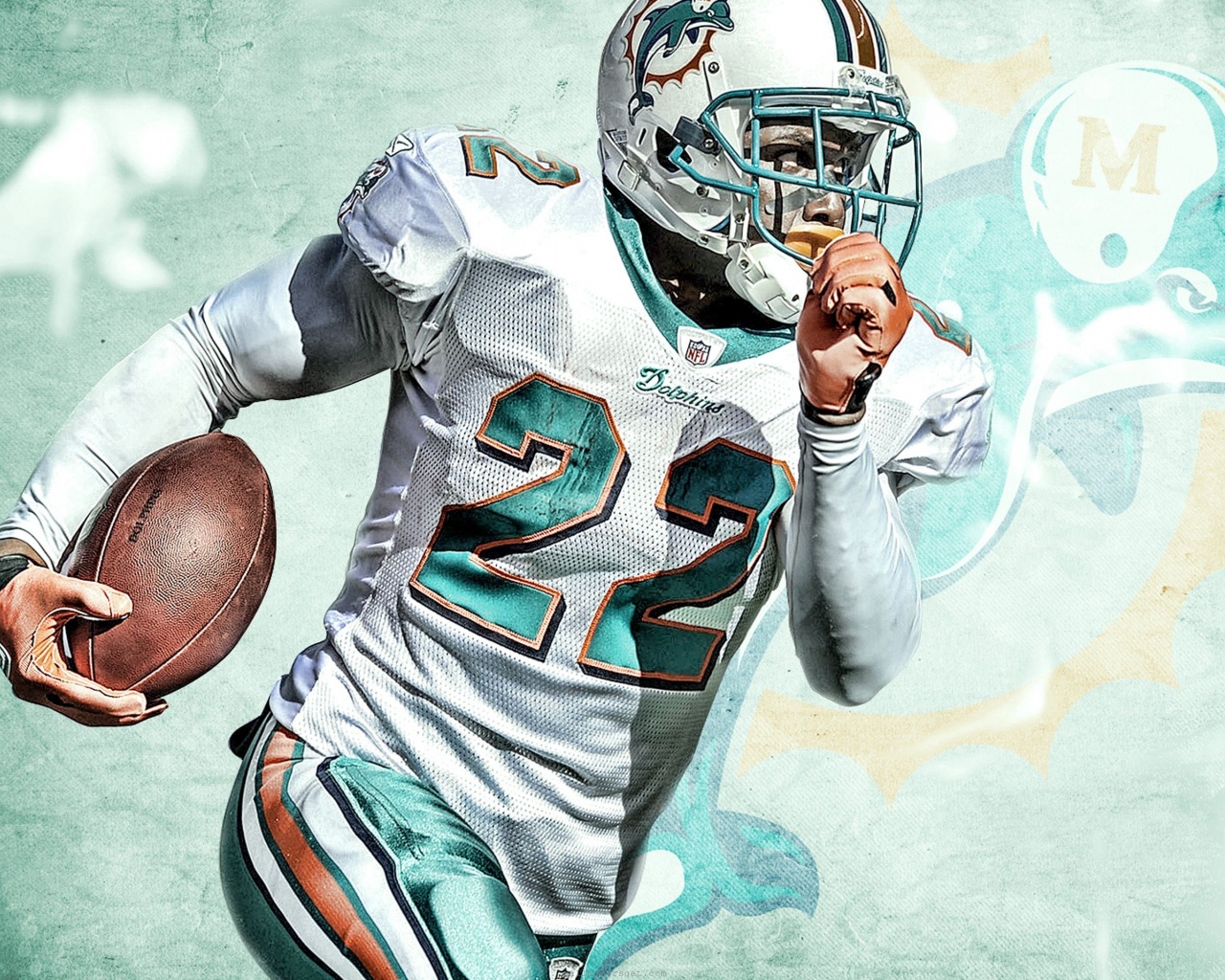 Miami Dolphins American Football Reggie Bush