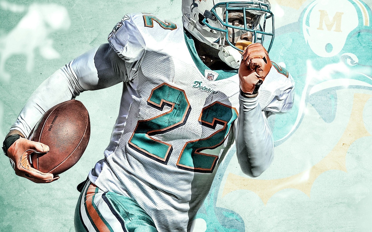 Miami Dolphins American Football Reggie Bush