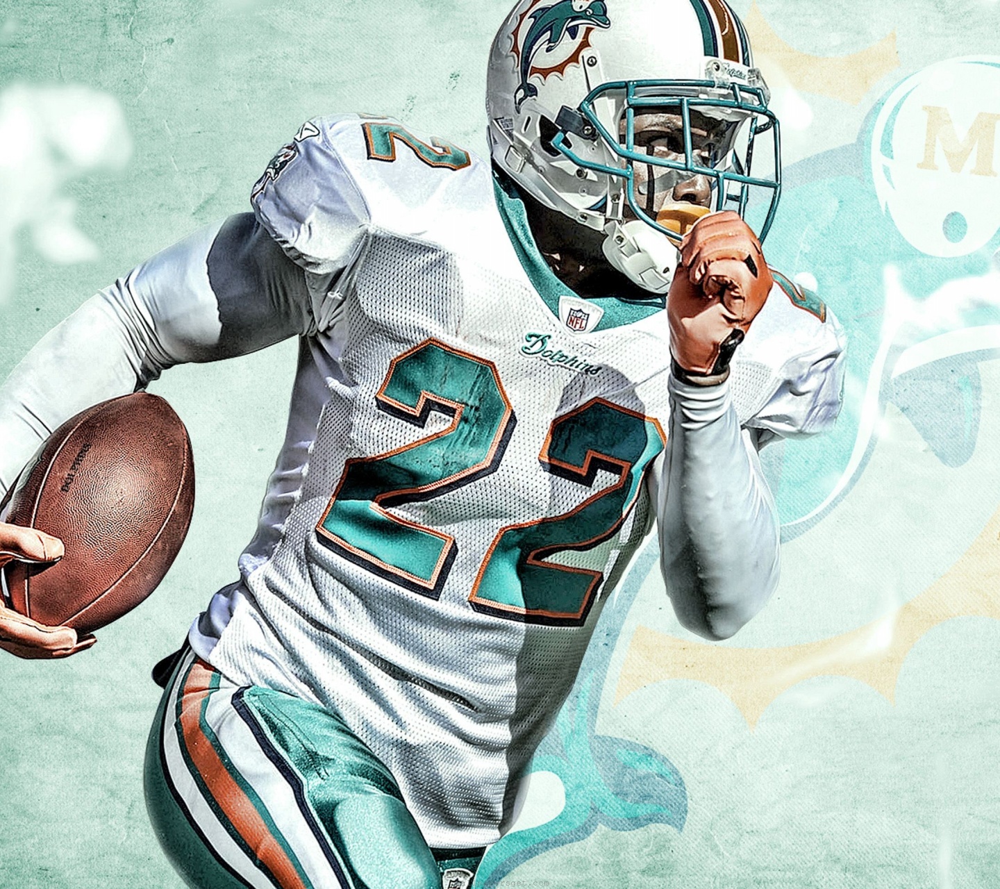 Miami Dolphins American Football Reggie Bush