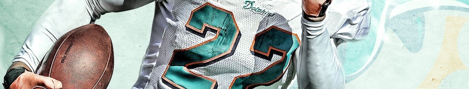 Miami Dolphins American Football Reggie Bush