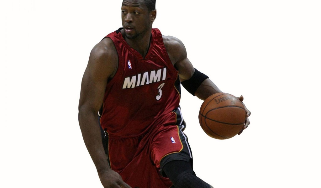 Miami Heat American Professional Basketball Dwyane Wade The Flash Guard