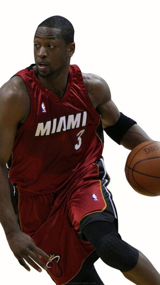 Miami Heat American Professional Basketball Dwyane Wade The Flash Guard