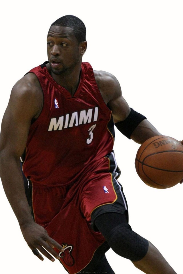 Miami Heat American Professional Basketball Dwyane Wade The Flash Guard