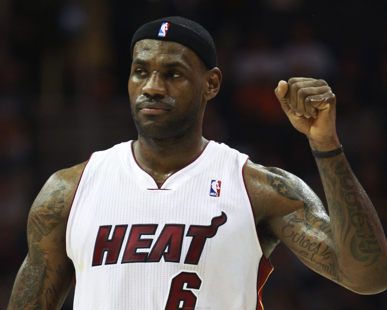 Miami Heat American Professional Basketball Lebron James Mvp