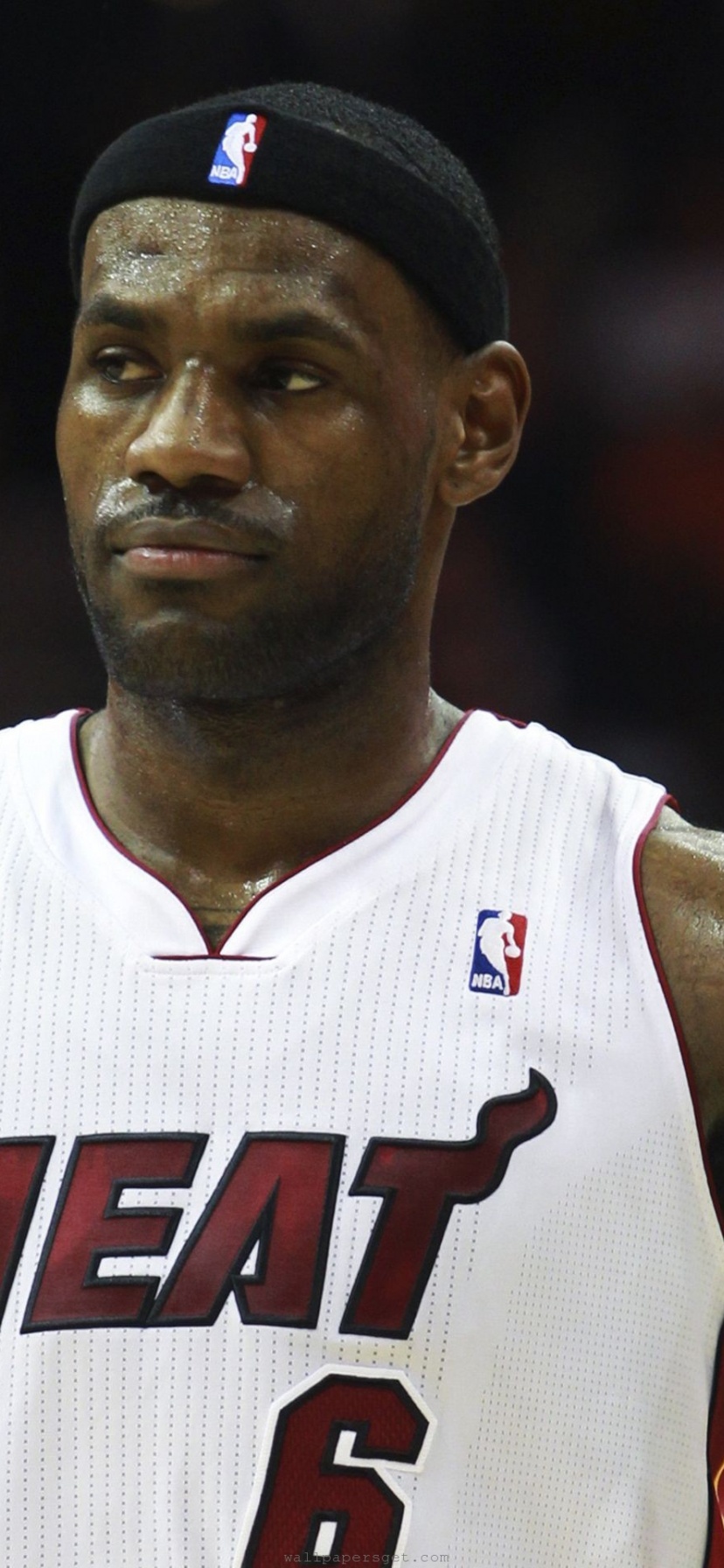 Miami Heat Nba American Basketball Lebron James1