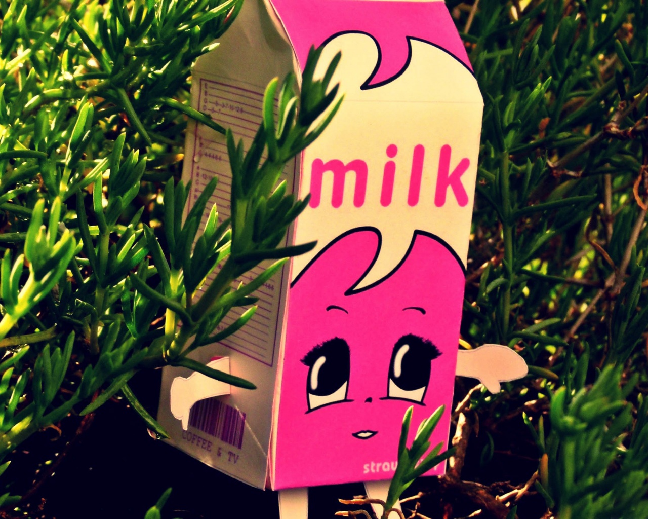 Milk Fem