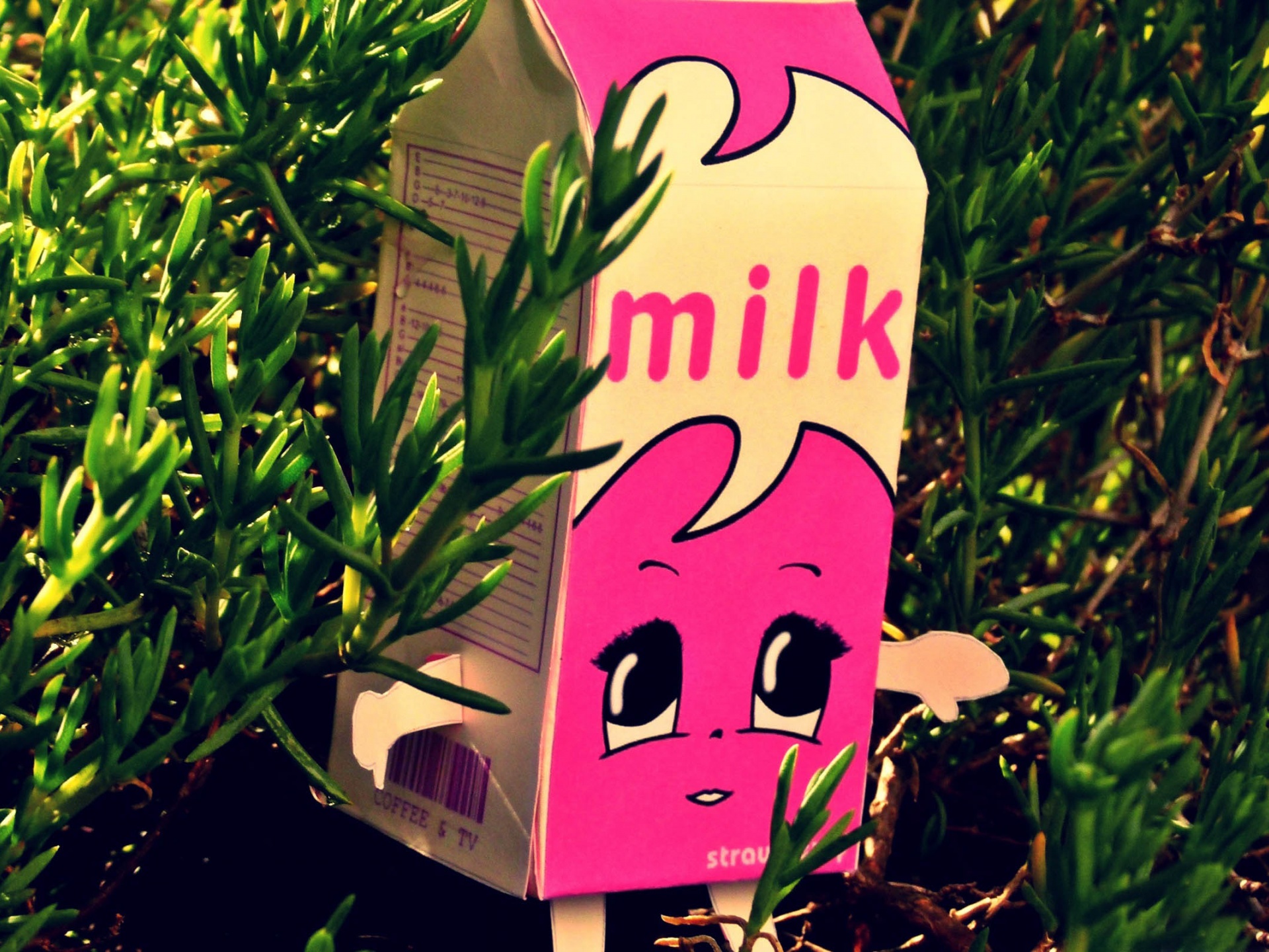 Milk Fem