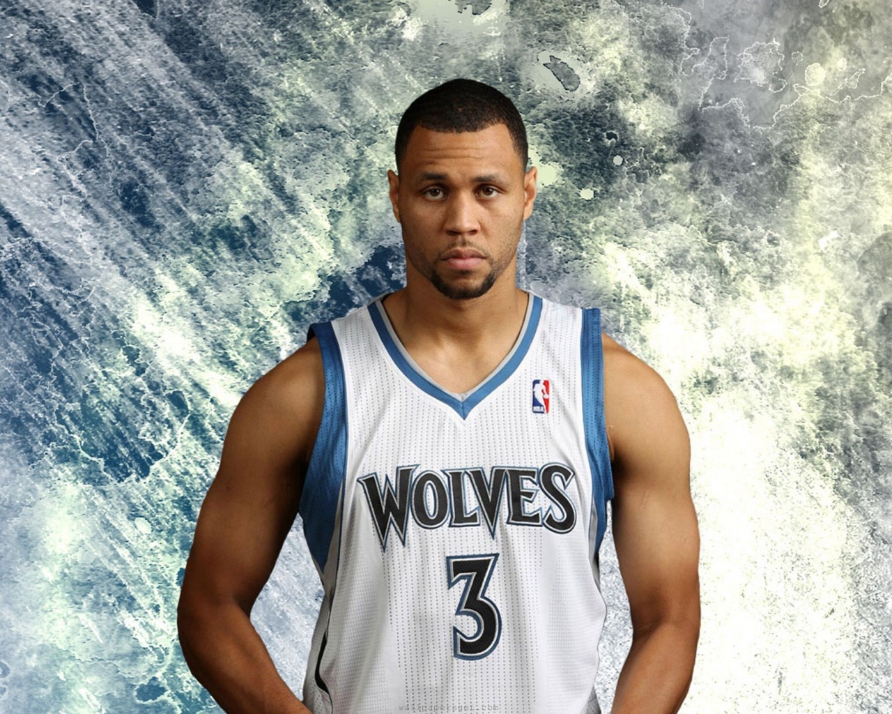 Minnesota Timberwolves Nba Brandon Roy