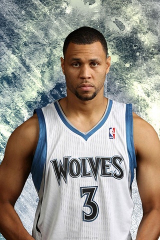 Minnesota Timberwolves Nba Brandon Roy