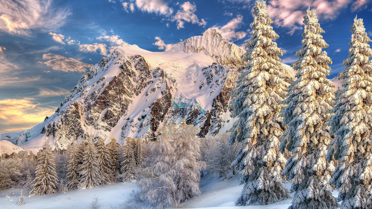 Mountain Forest Snow Winter