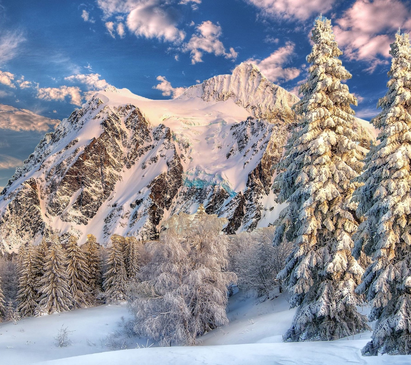 Mountain Forest Snow Winter