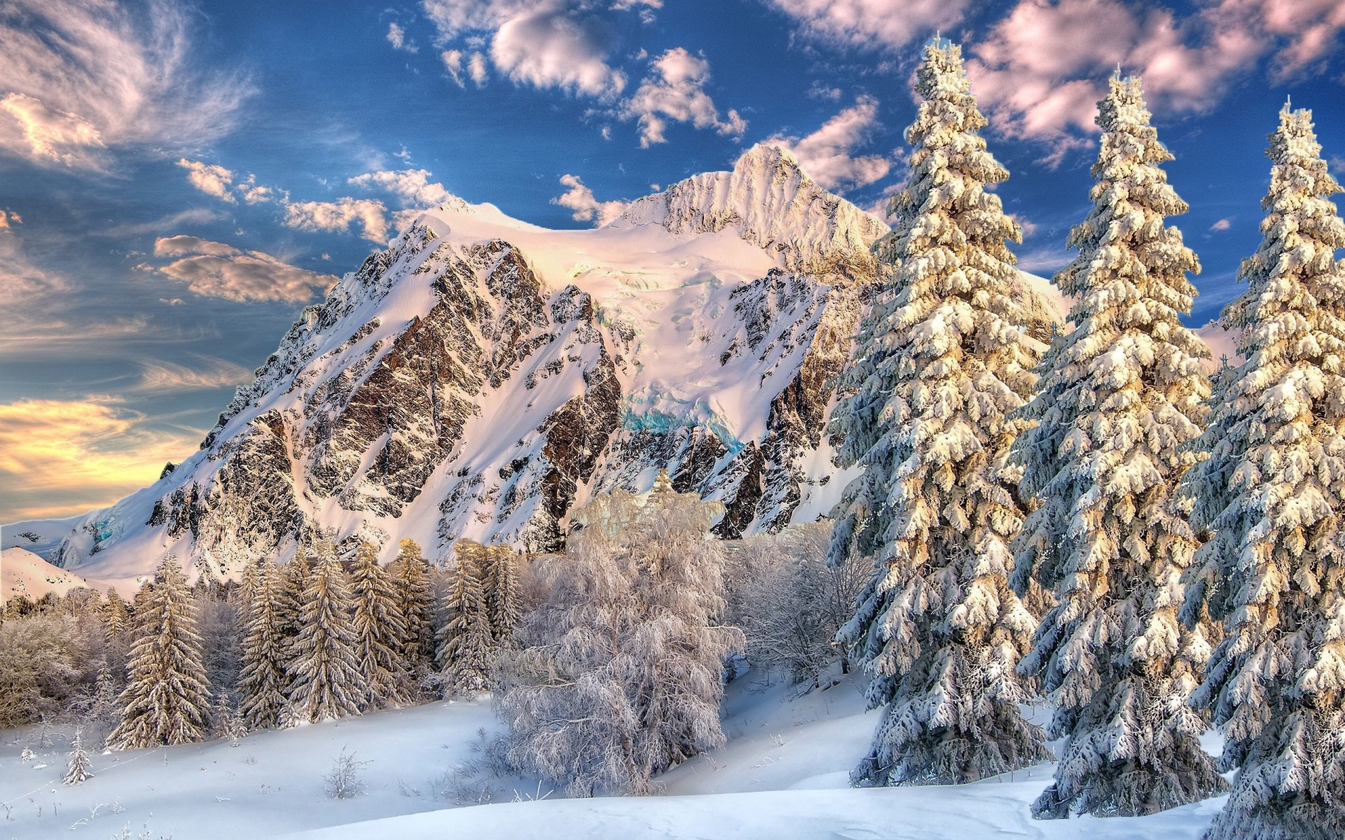 Mountain Forest Snow Winter