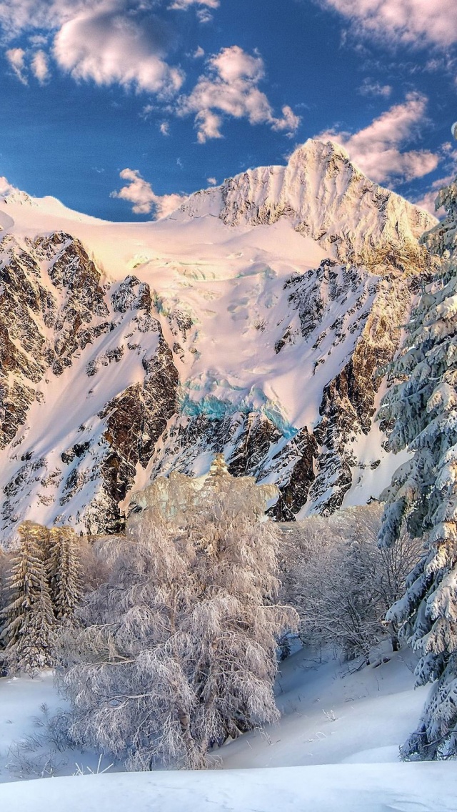 Mountain Forest Snow Winter