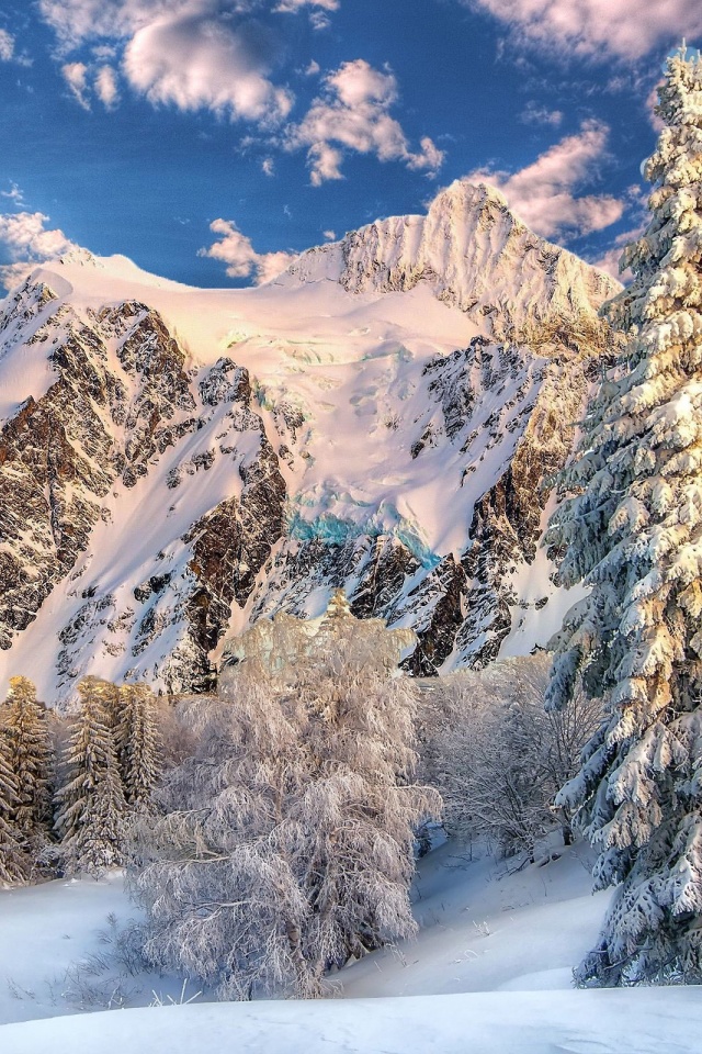 Mountain Forest Snow Winter