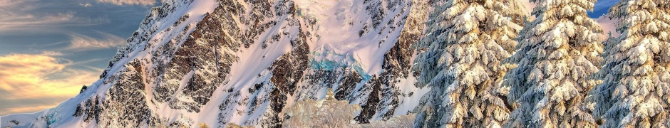 Mountain Forest Snow Winter