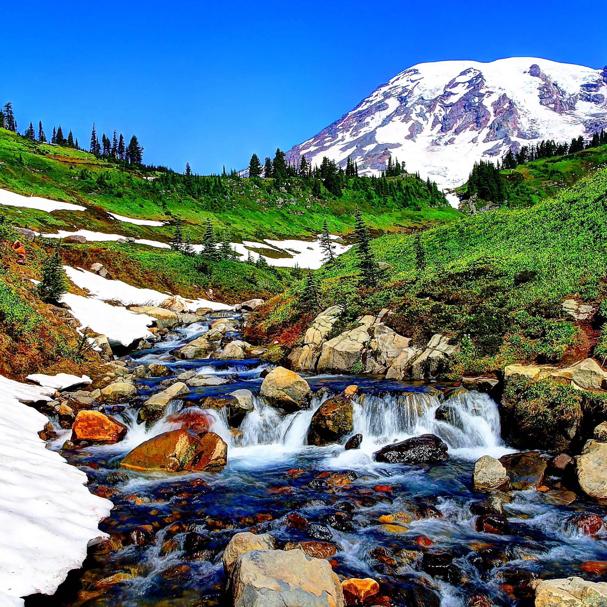 Mountain Stream And Melted Snow