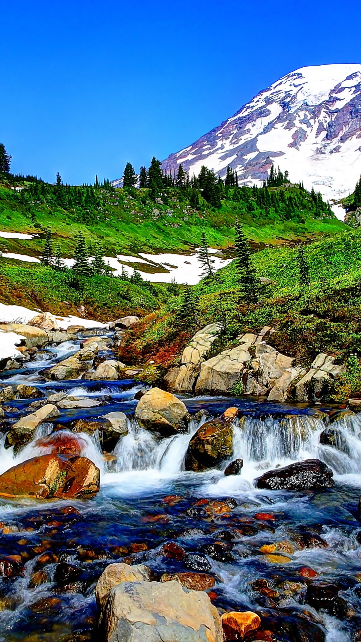 Mountain Stream And Melted Snow