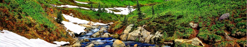 Mountain Stream And Melted Snow