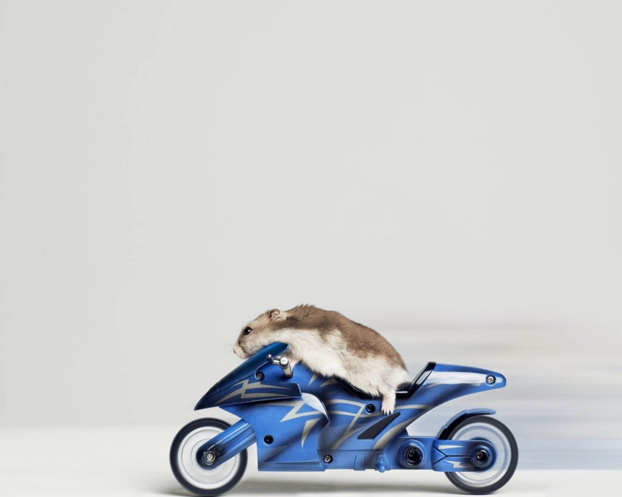 Mouse Riding Motorcycle