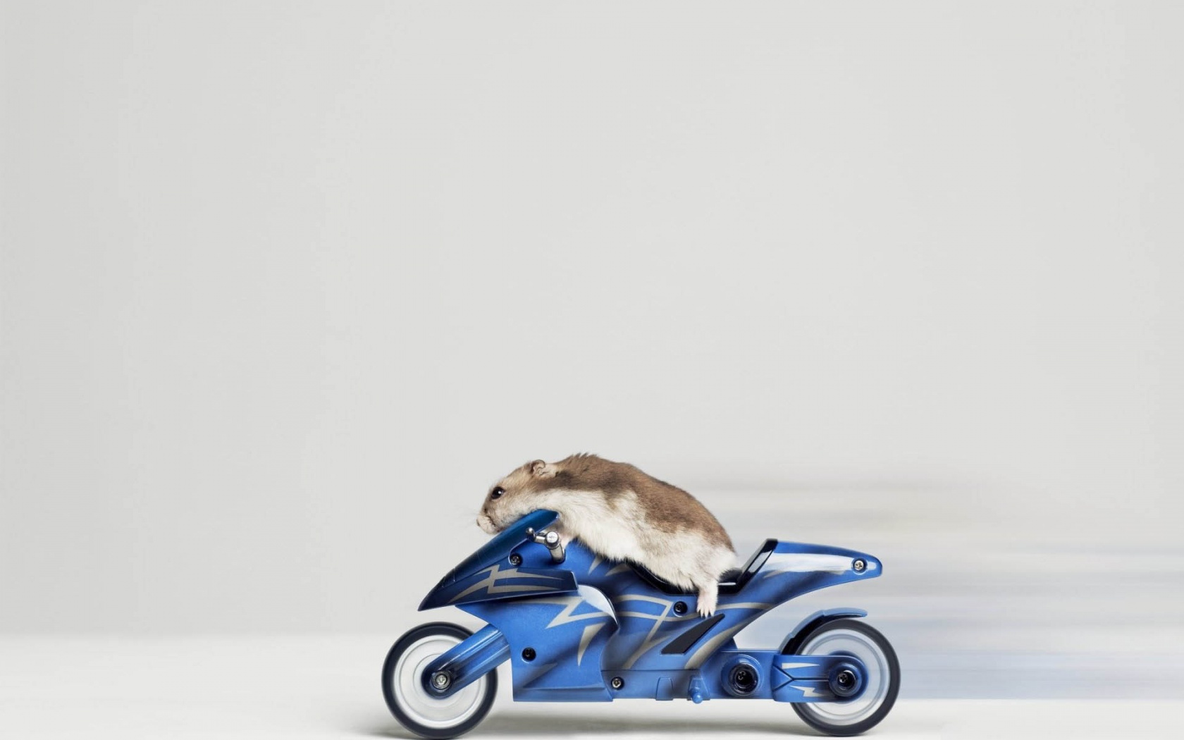 Mouse Riding Motorcycle