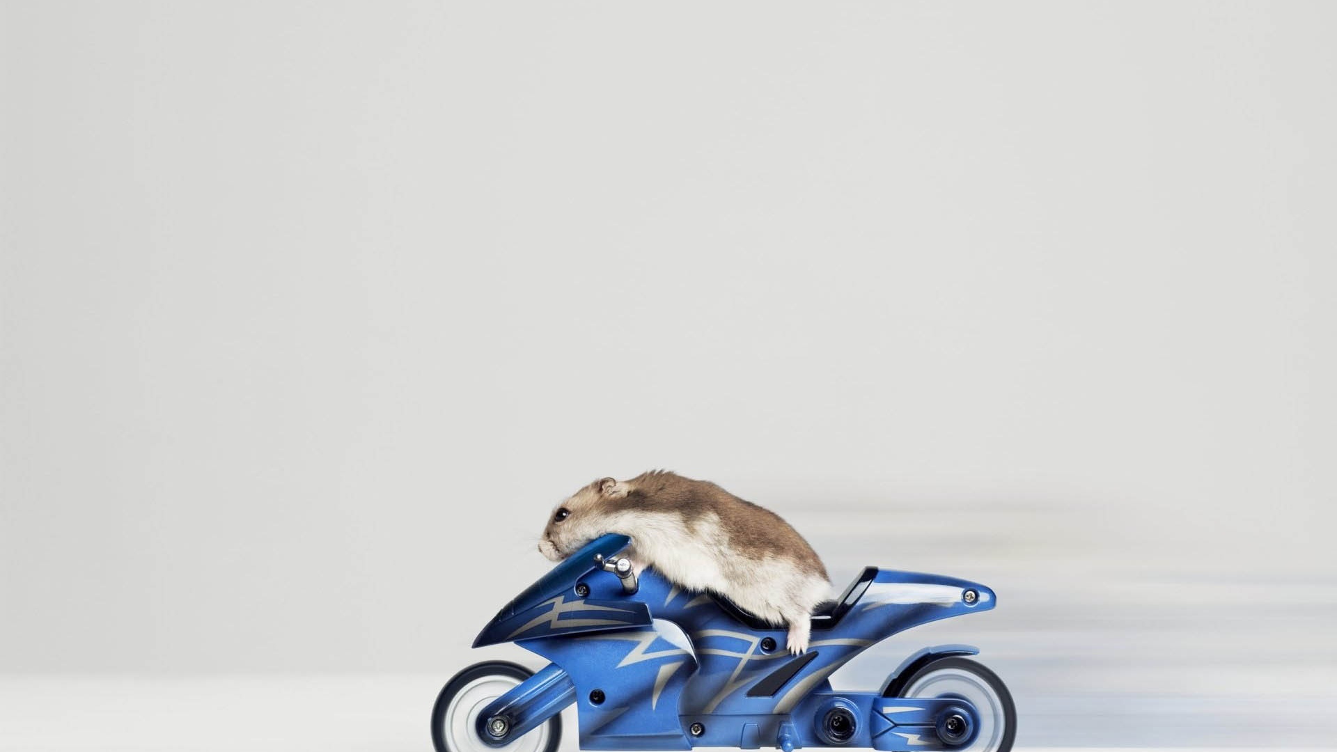 Mouse Riding Motorcycle