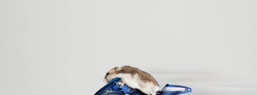 Mouse Riding Motorcycle