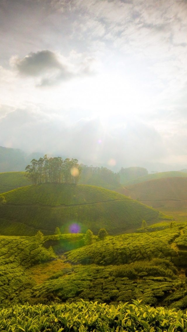 Munnar Hill Station Kerala India