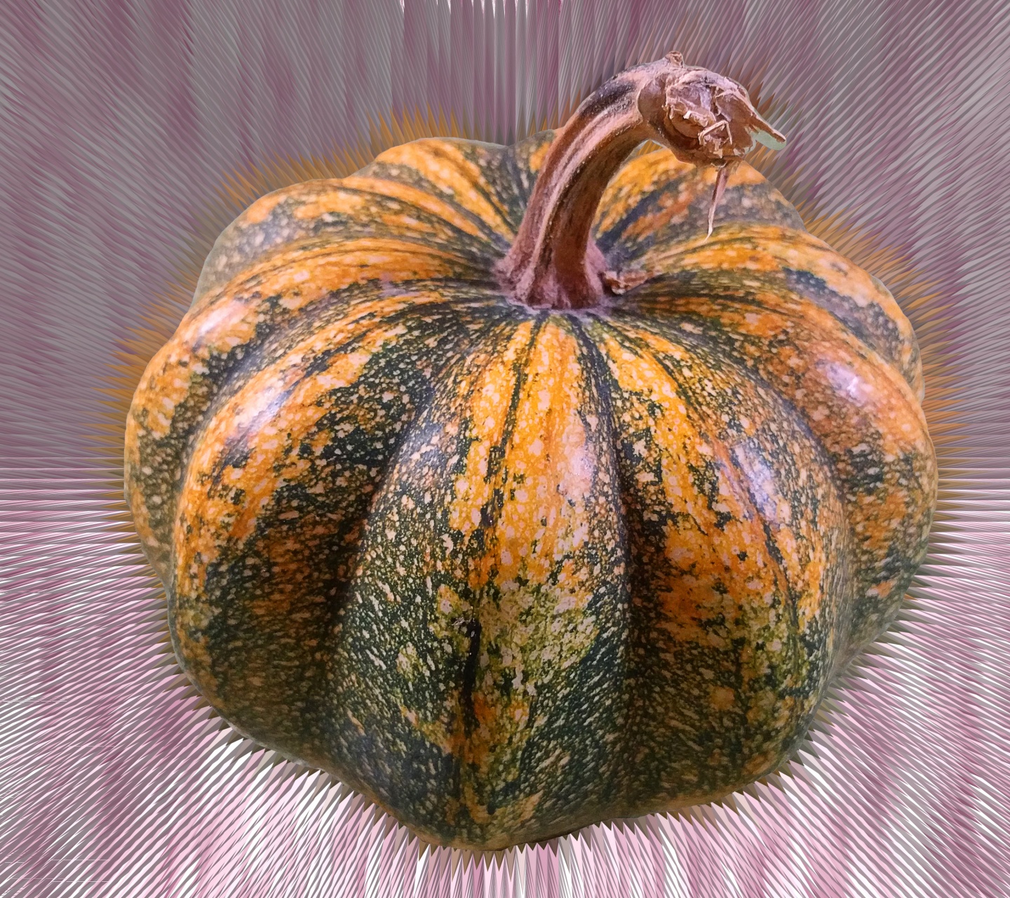 Mutated Pumpkin