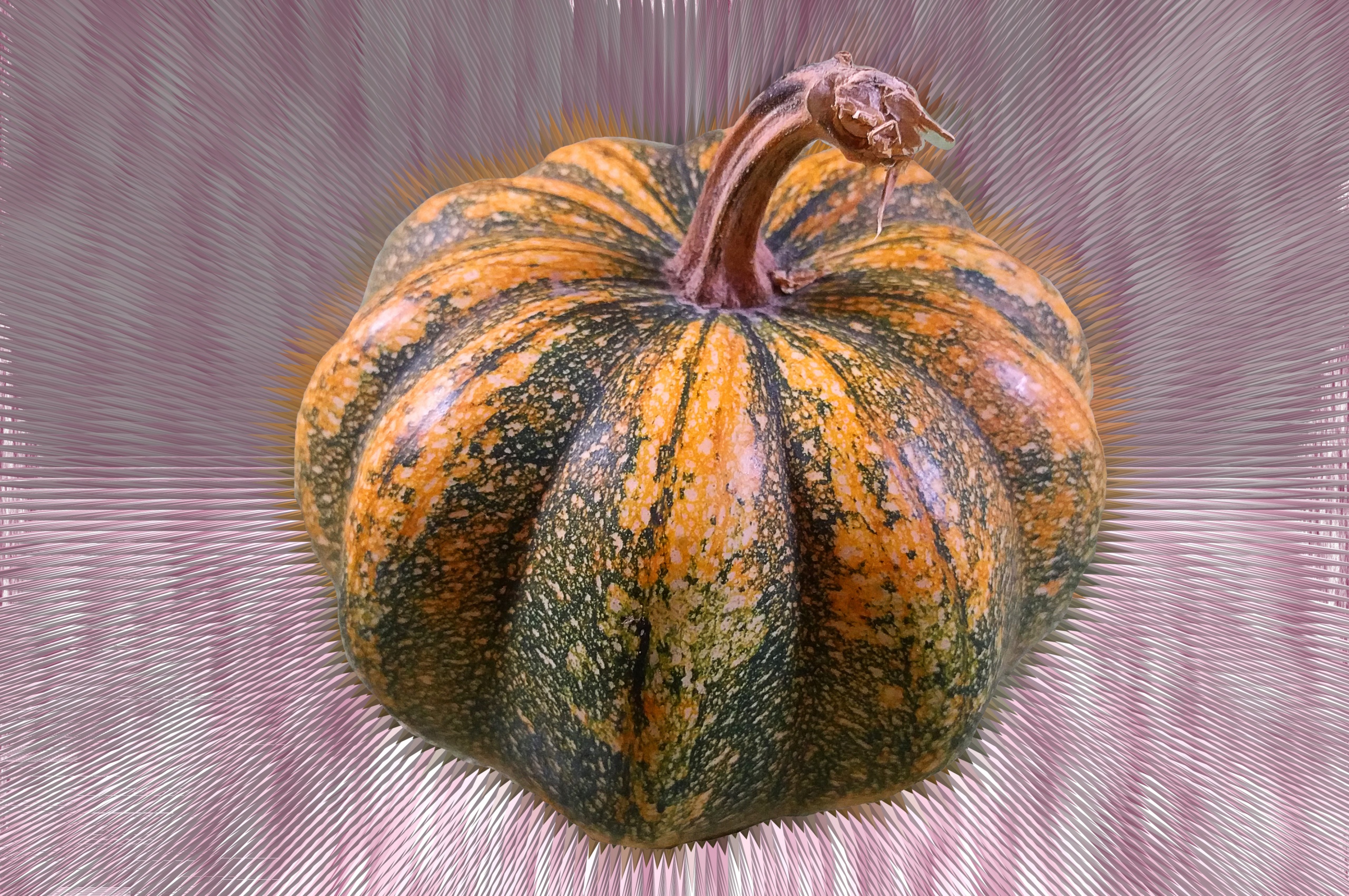 Mutated Pumpkin