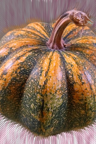 Mutated Pumpkin