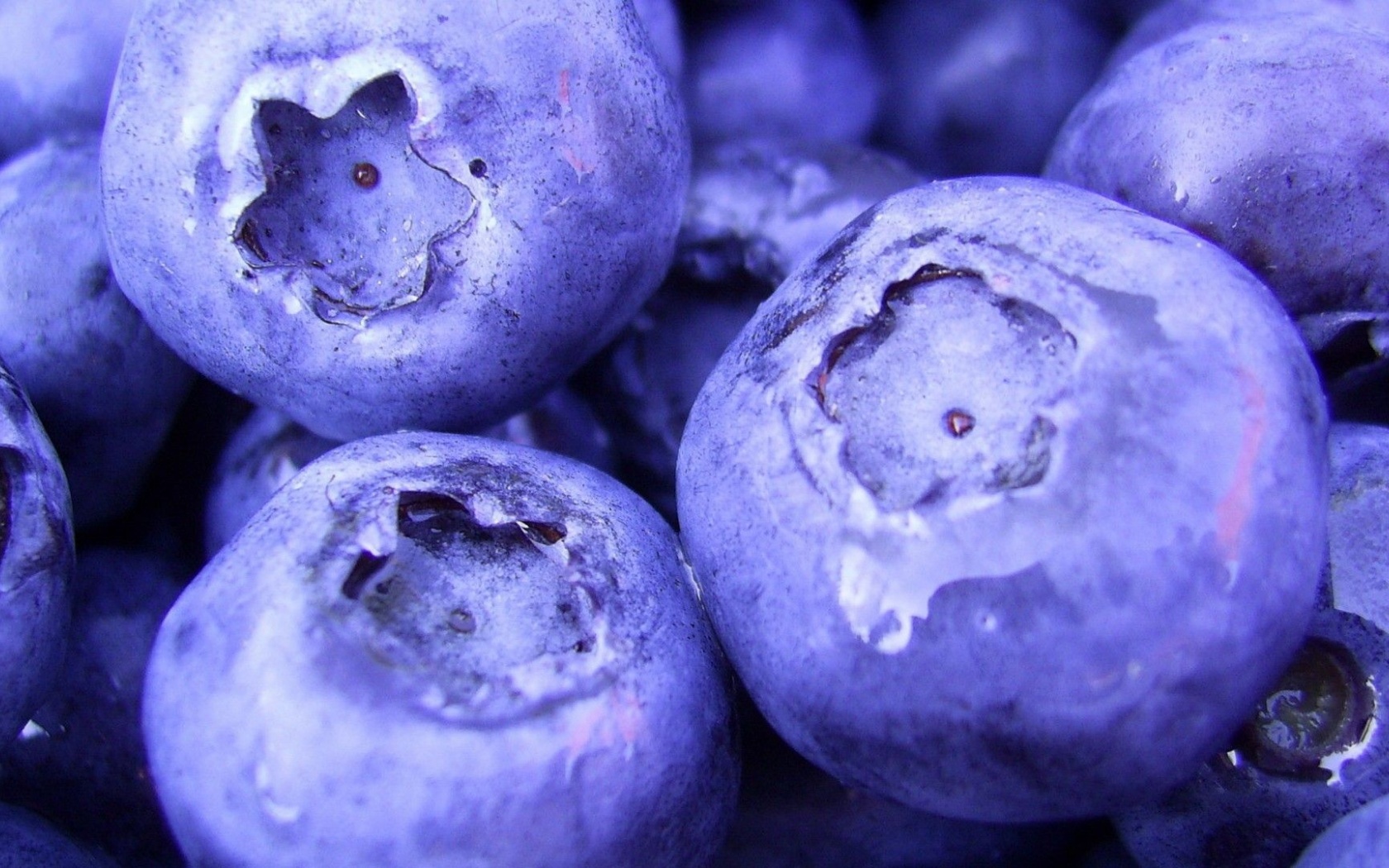 Nature Fruits Food Plants Macro Berries Blueberries