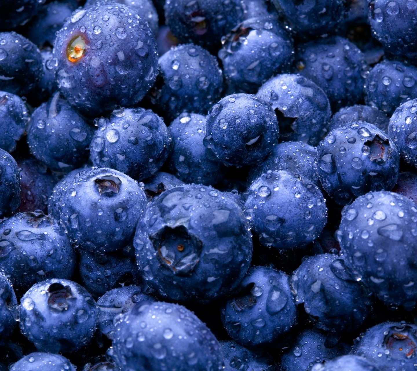 Nature Fruits Food Water Drops Berries Blueberries