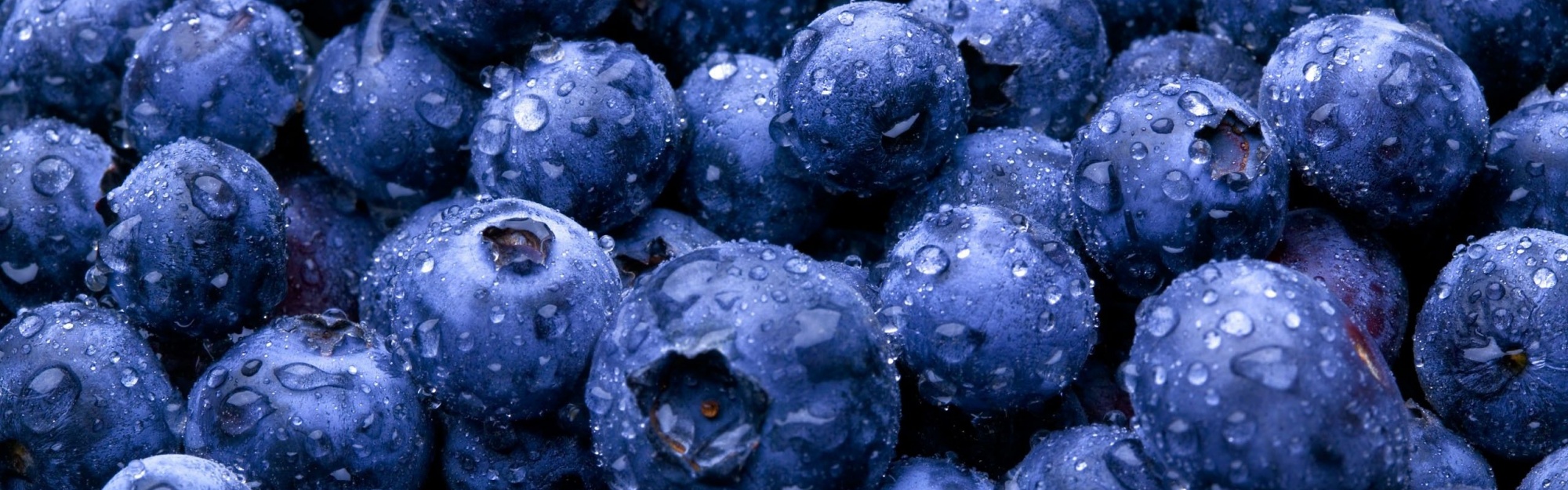 Nature Fruits Food Water Drops Berries Blueberries