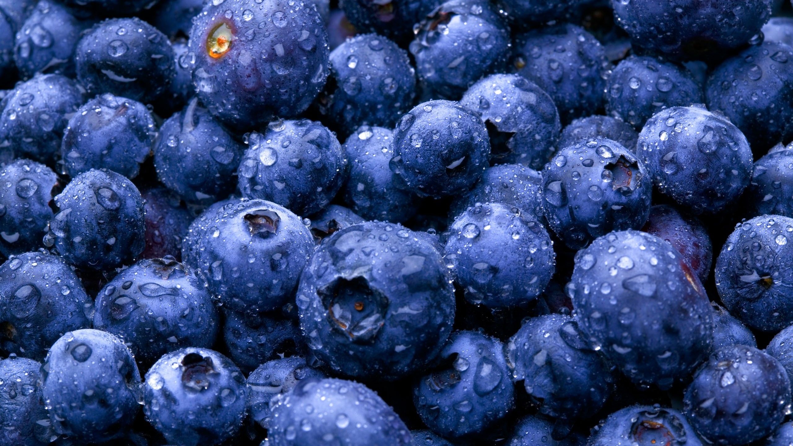 Nature Fruits Food Water Drops Berries Blueberries