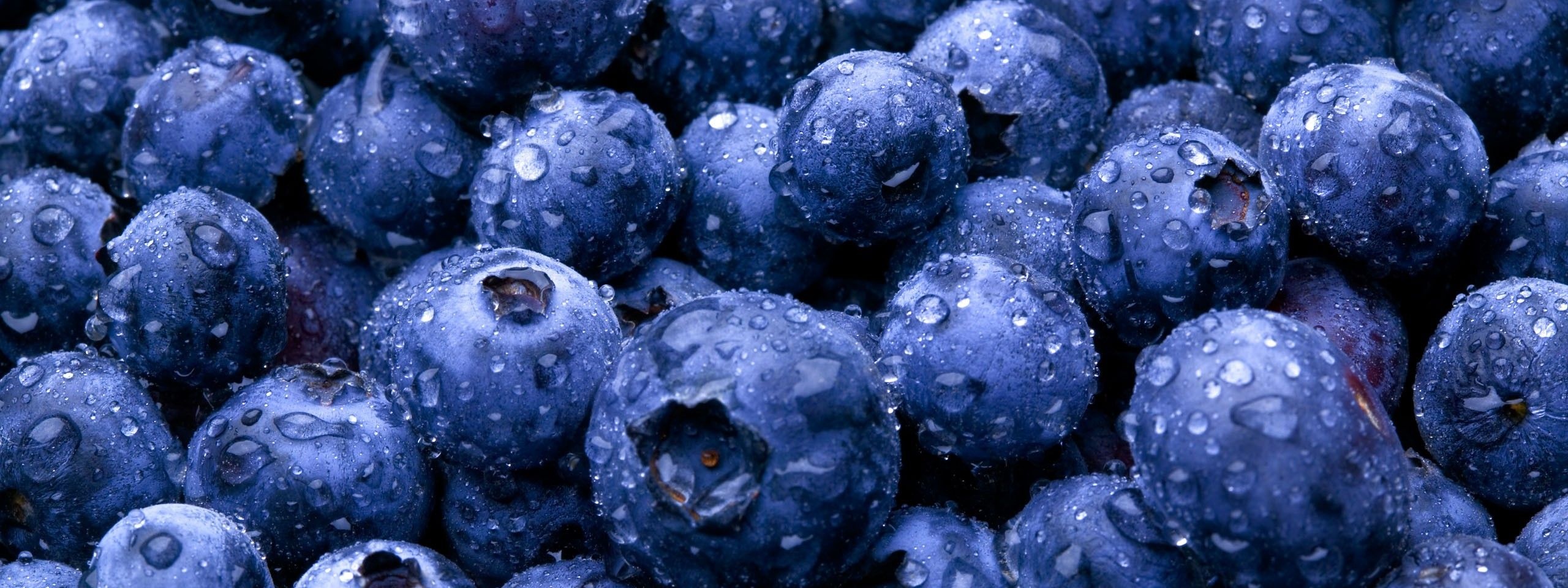 Nature Fruits Food Water Drops Berries Blueberries